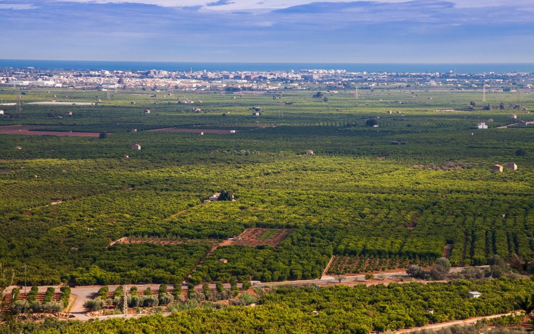 Mayúscula o minúscula en los artículos de los nombres de las comarcas